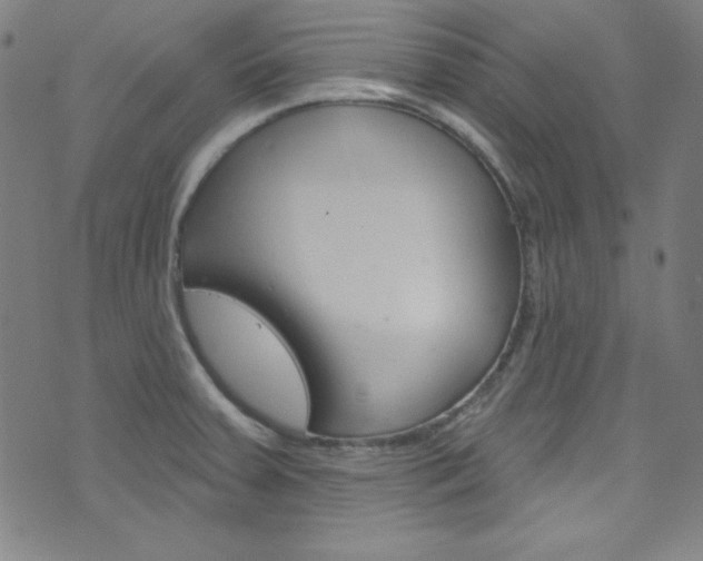 X0000076381379200610060915