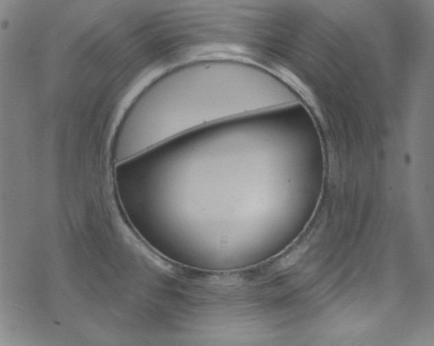 X0000076381384200610060915