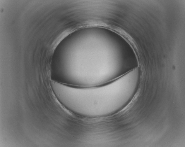 X0000076381385200610060915