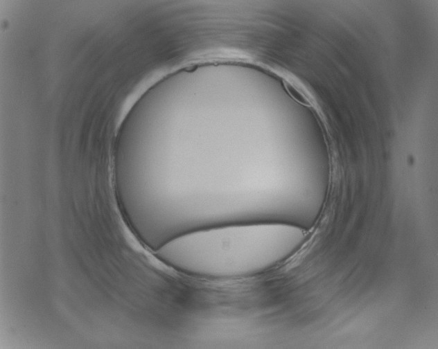 X0000076381390200610060915