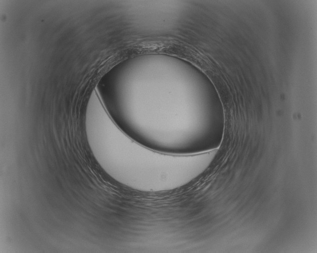 X0000076381394200610060914