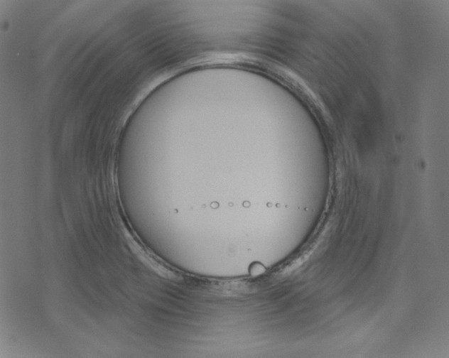 X0000076381417200610060914
