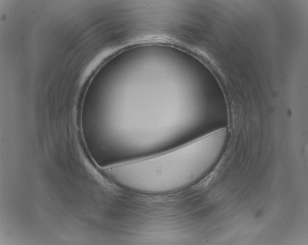 X0000076381422200610060914
