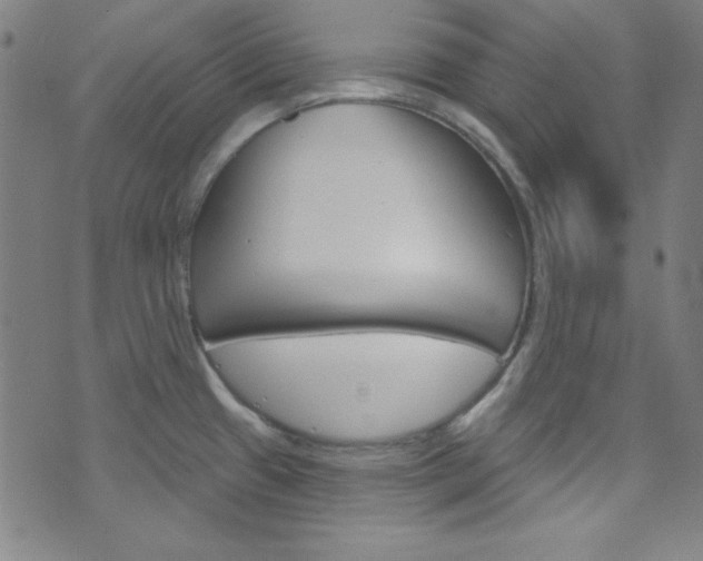 X0000076381433200610060915
