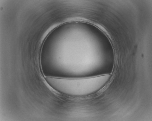 X0000076381438200610060915