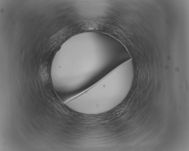 X0000076381442200610060914