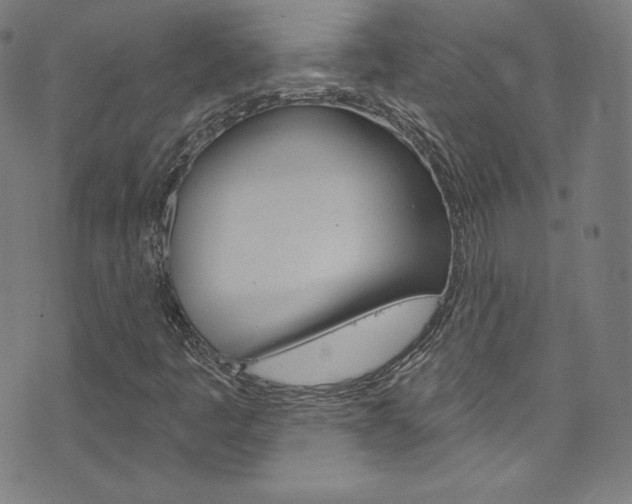 X0000076381445200610060914