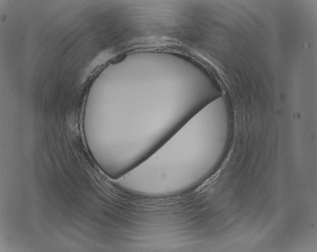 X0000076381451200610060914