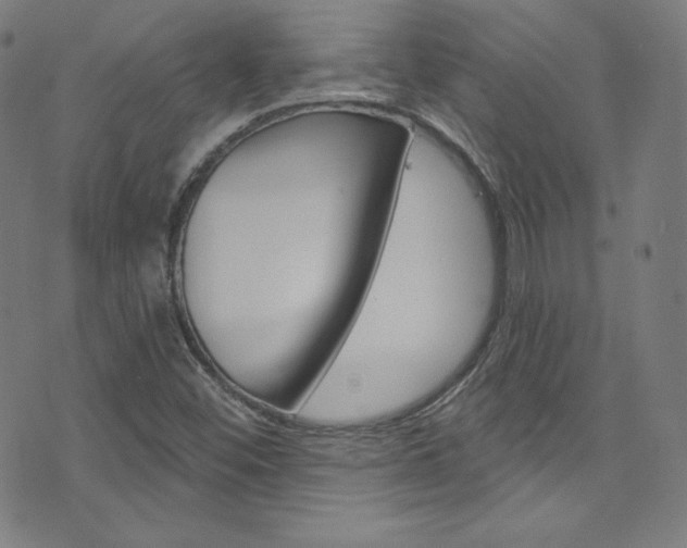 X0000076381452200610060914