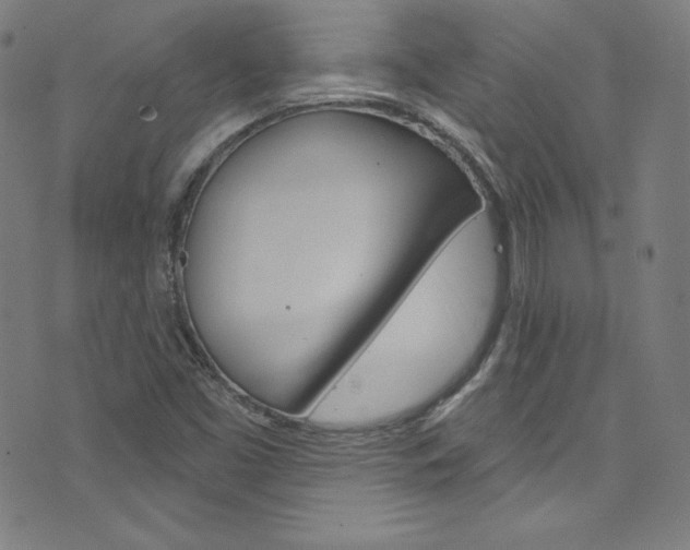 X0000076381453200610060914