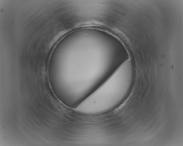 X0000076381457200610060914