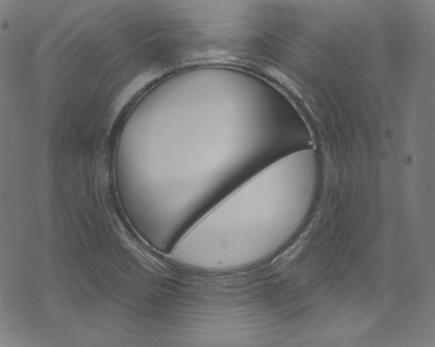 X0000076381458200610060914