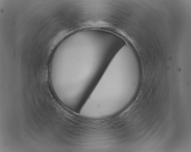X0000076381459200610060914