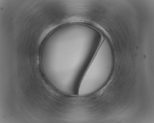 X0000076381461200610060914