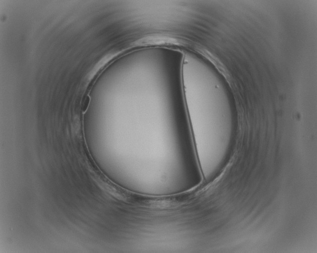X0000076381465200610060914