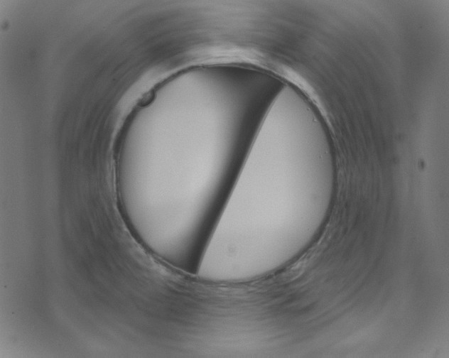 X0000076381472200610060913