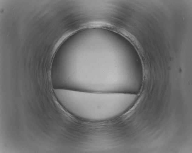 X0000076381473200610060913
