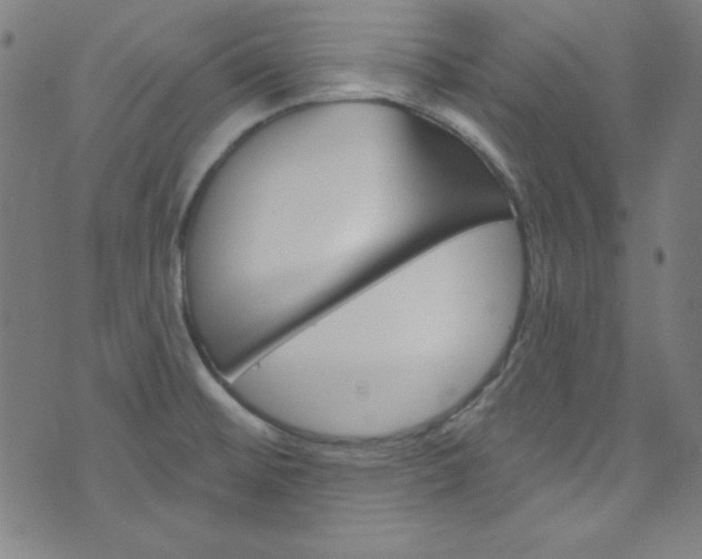 X0000076381476200610060913