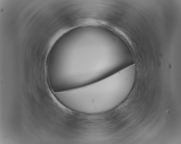 X0000076381479200610060913