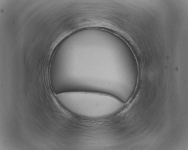 X0000076381513200610060913