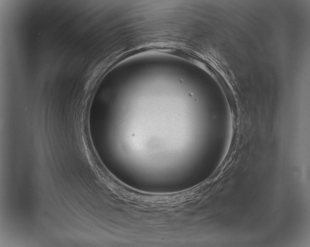 X0000076380001200610061137