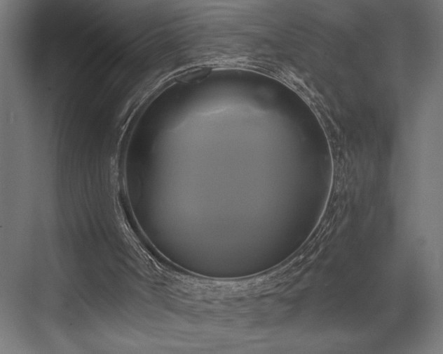 X0000076380002200610061136