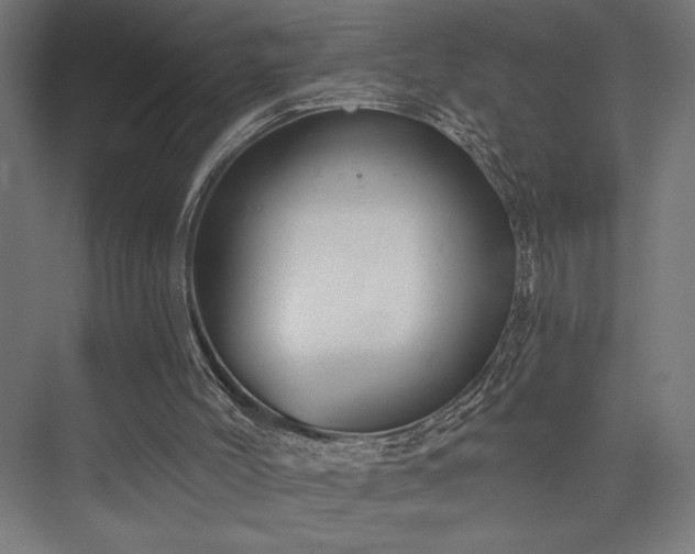 X0000076380004200610061136