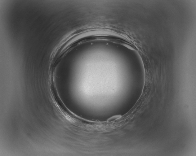 X0000076380005200610061136