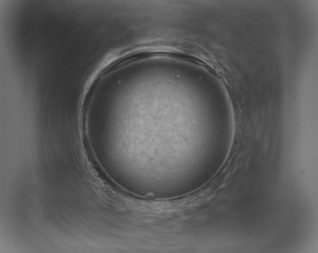 X0000076380006200610061136