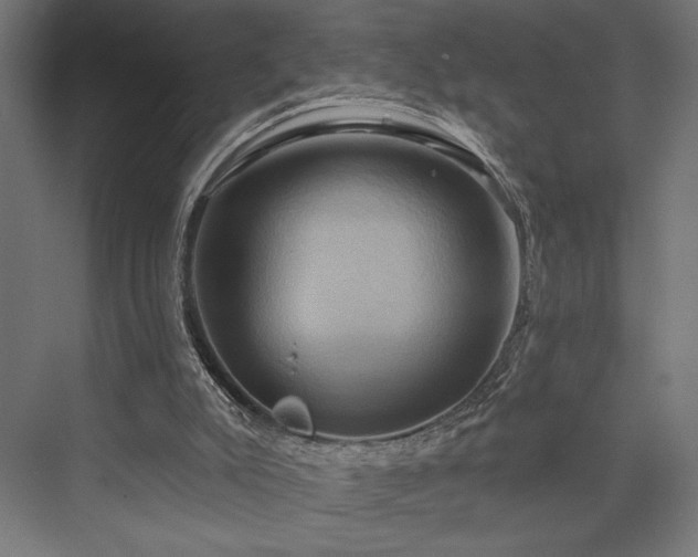 X0000076380007200610061136