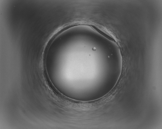 X0000076380008200610061136