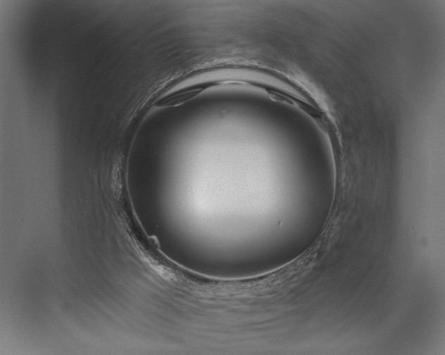 X0000076380009200610061136