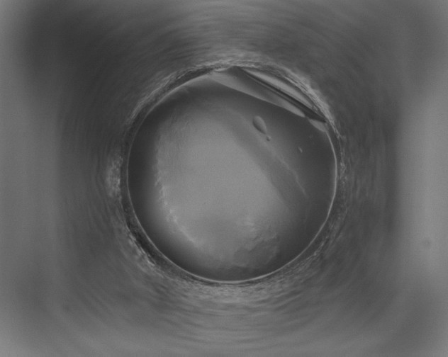 X0000076380010200610061136