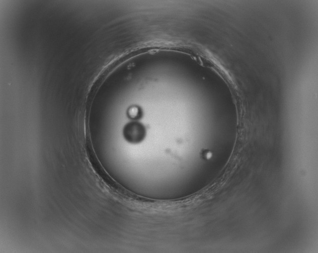 X0000076380011200610061136