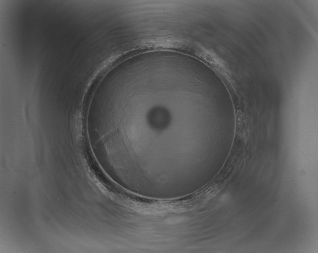 X0000076380012200610061136