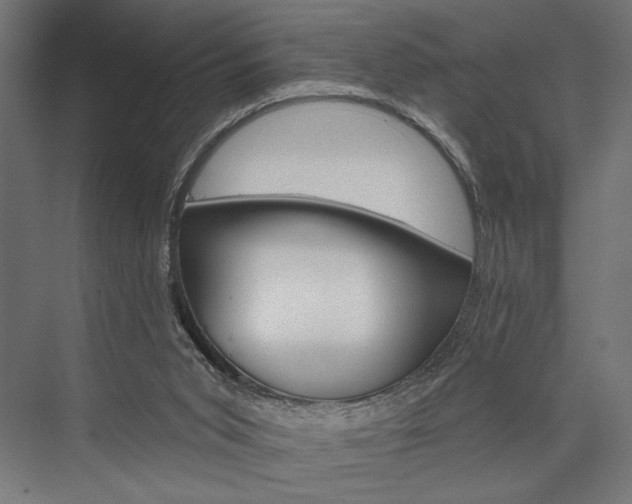 X0000076380015200610061136