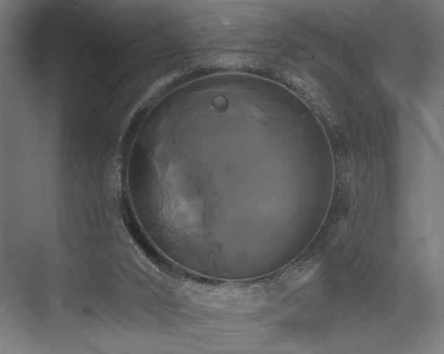 X0000076380016200610061136