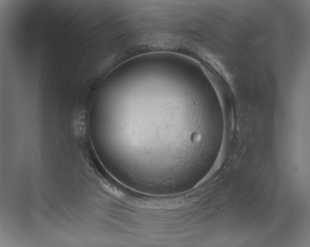 X0000076380017200610061136