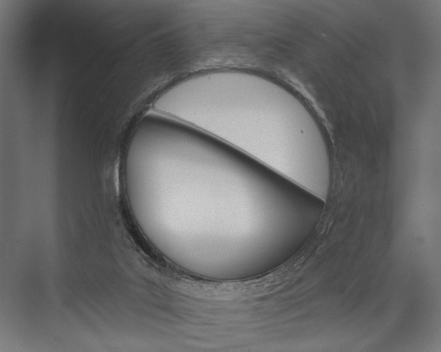 X0000076380019200610061136