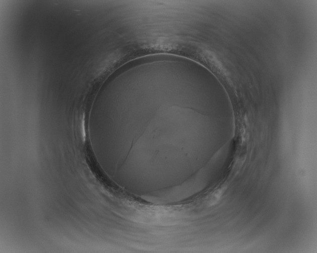 X0000076380020200610061136