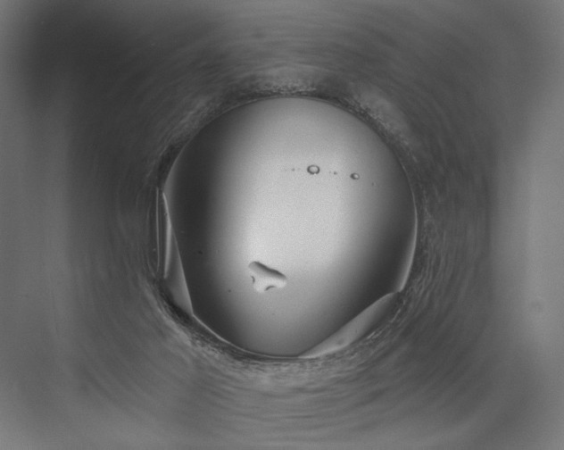 X0000076380021200610061136