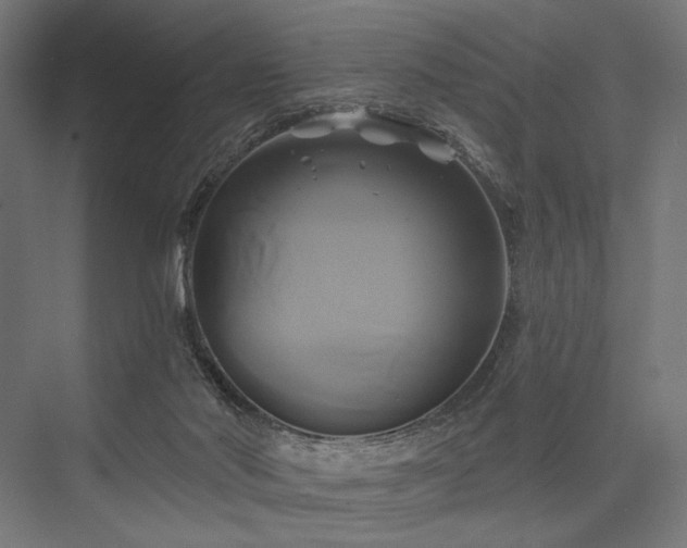 X0000076380022200610061136