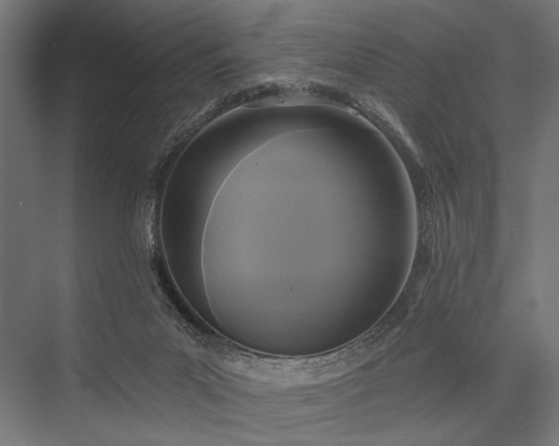 X0000076380023200610061136