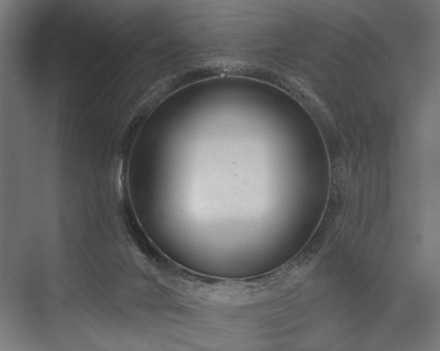 X0000076380024200610061136