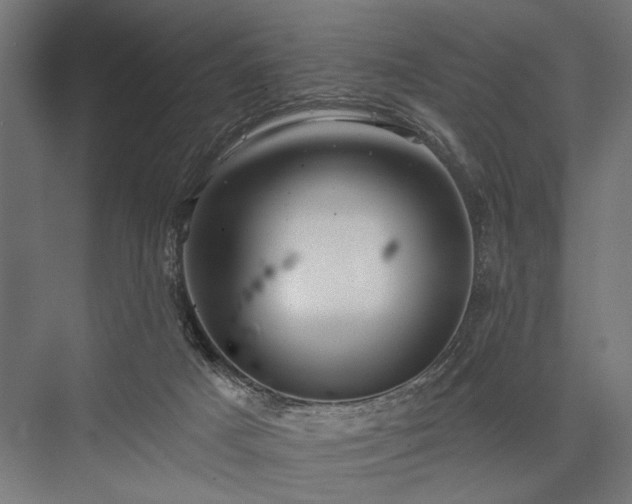 X0000076380025200610061136