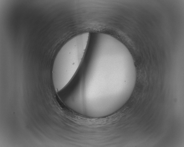 X0000076380027200610061136