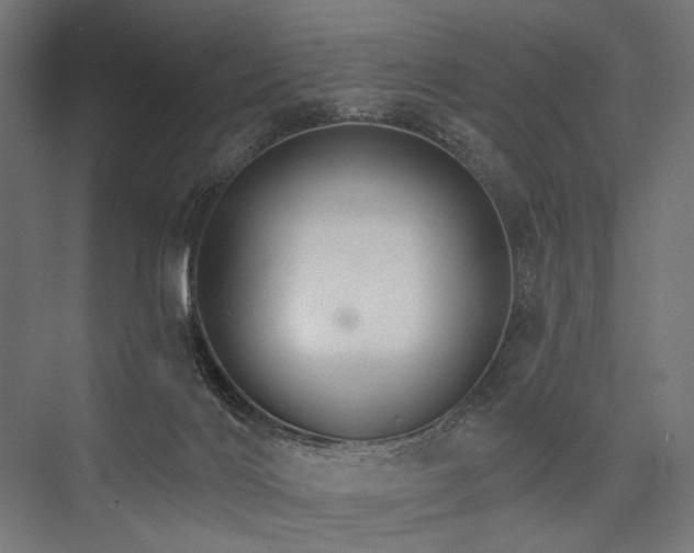 X0000076380028200610061136