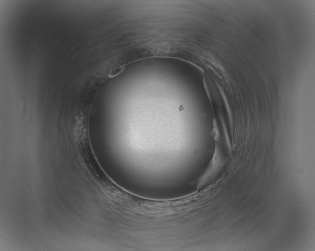 X0000076380029200610061136