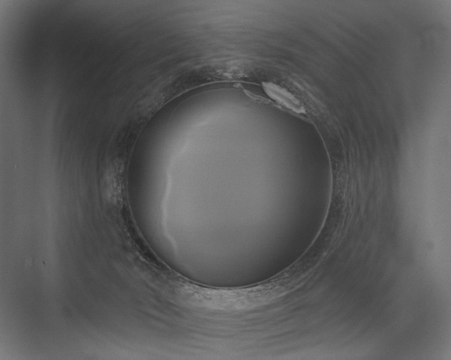 X0000076380030200610061136