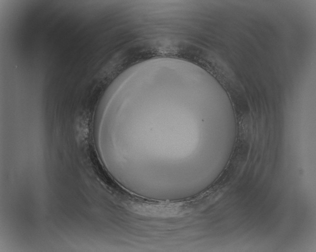 X0000076380032200610061136